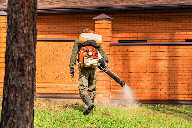 Trusted Termite Control service in Southlake, TX - Nex Pest Control